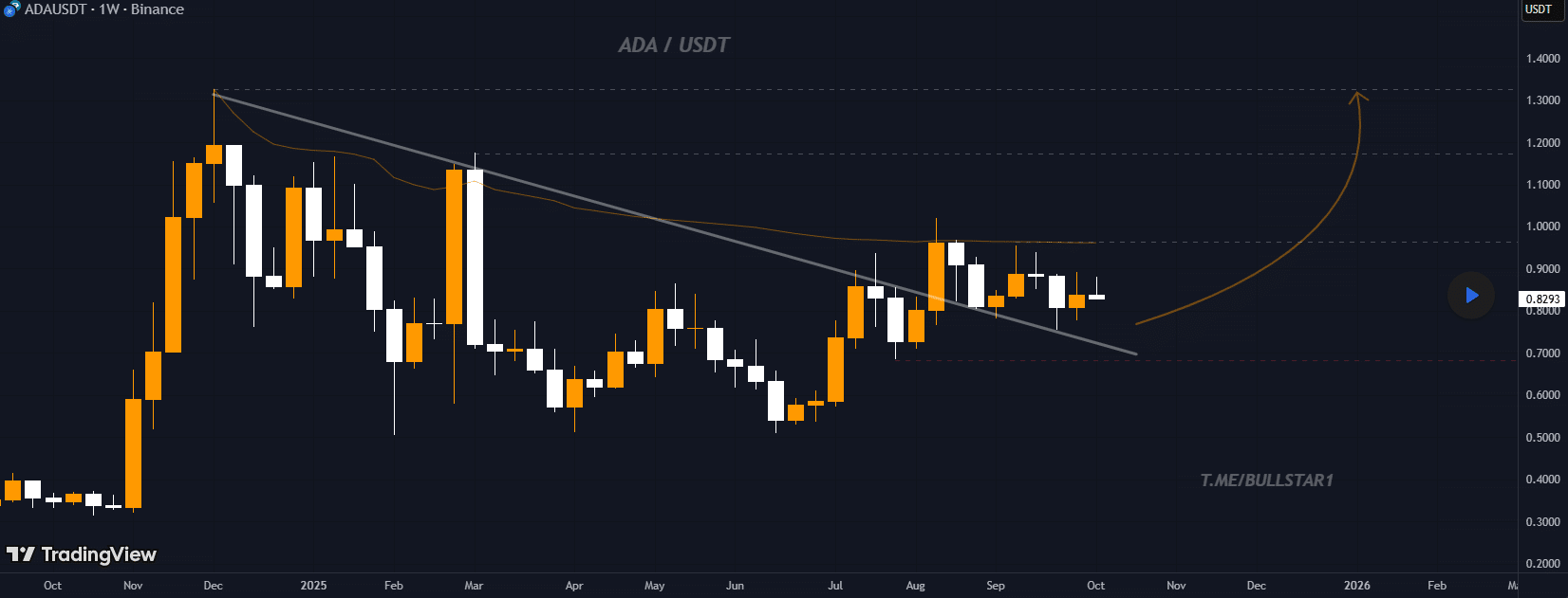 分析师预测：Cardano 将迎来60%的涨幅，达到1.30美元