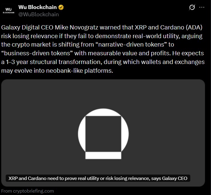 Galaxy Digital CEO Criticizes Excessive Hype Surrounding XRP and Cardano in the Community